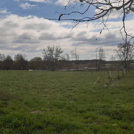 Lipowy Dworek 招待所 Staroguby